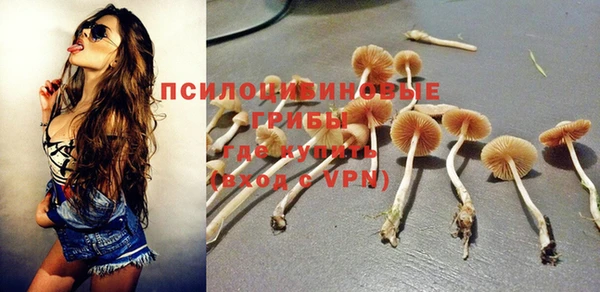 шишки Алексеевка