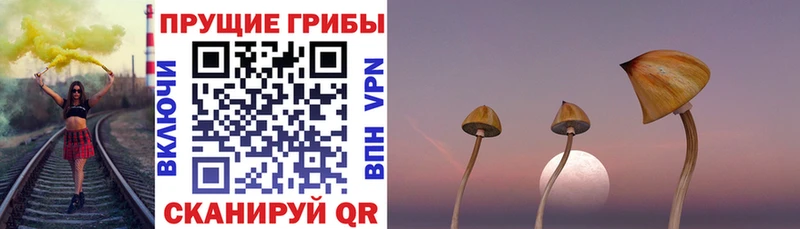 KRAKEN ссылка  Яхрома  Галлюциногенные грибы прущие грибы  даркнет сайт 